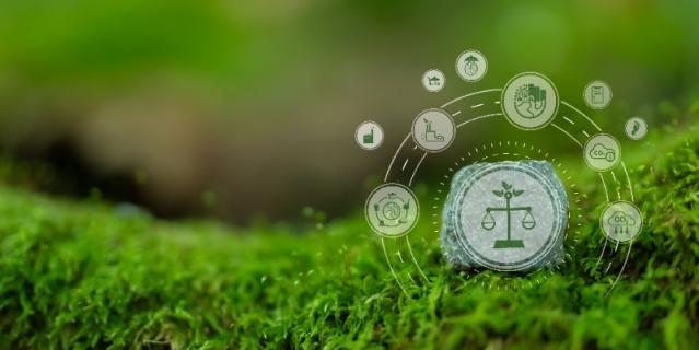Avocat droit public et environnement