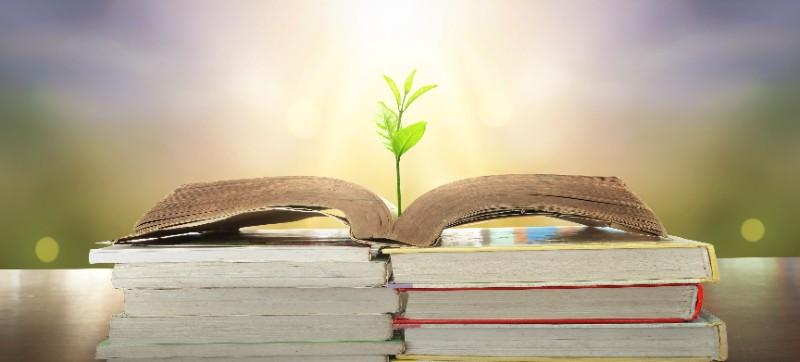 Droit de l'environnement